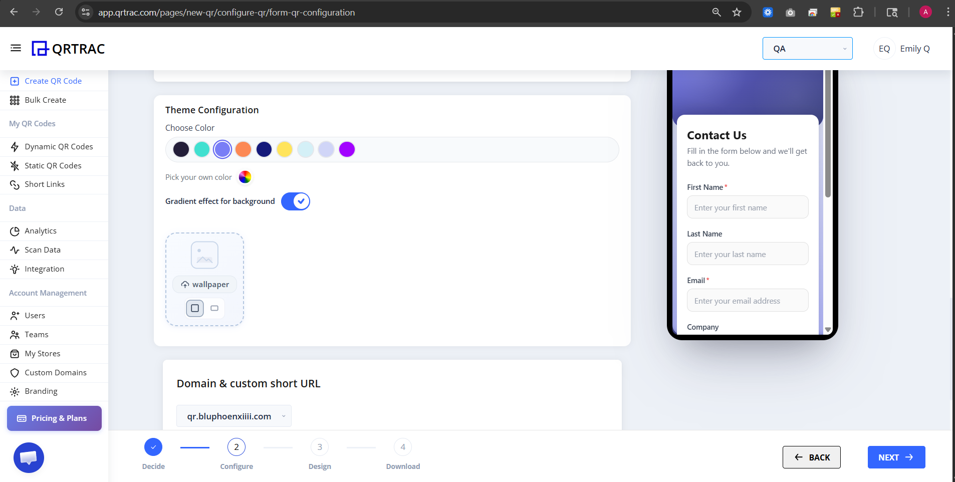 Theme configuration section with color palette options